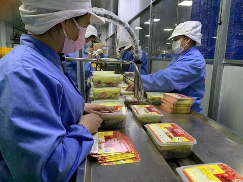 落實優惠政策，拓展“非接觸式”辦稅，稅務部門多措并舉助力企業復工復產